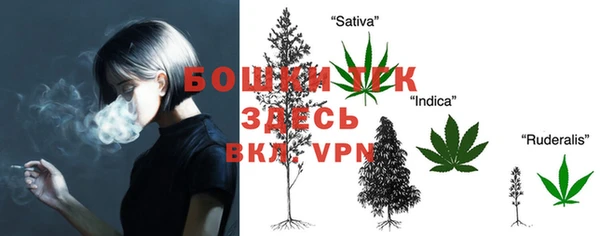 СК Костерёво