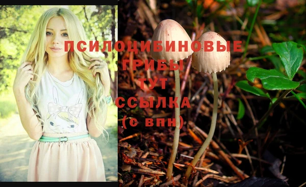 трава Краснотурьинск