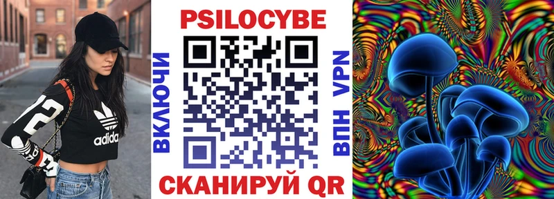 Галлюциногенные грибы Psilocybe  Купить  Бугульма 